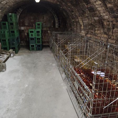 Ubytování na sklepě u ŠPACÍRA Velké Pavlovice Exterior foto